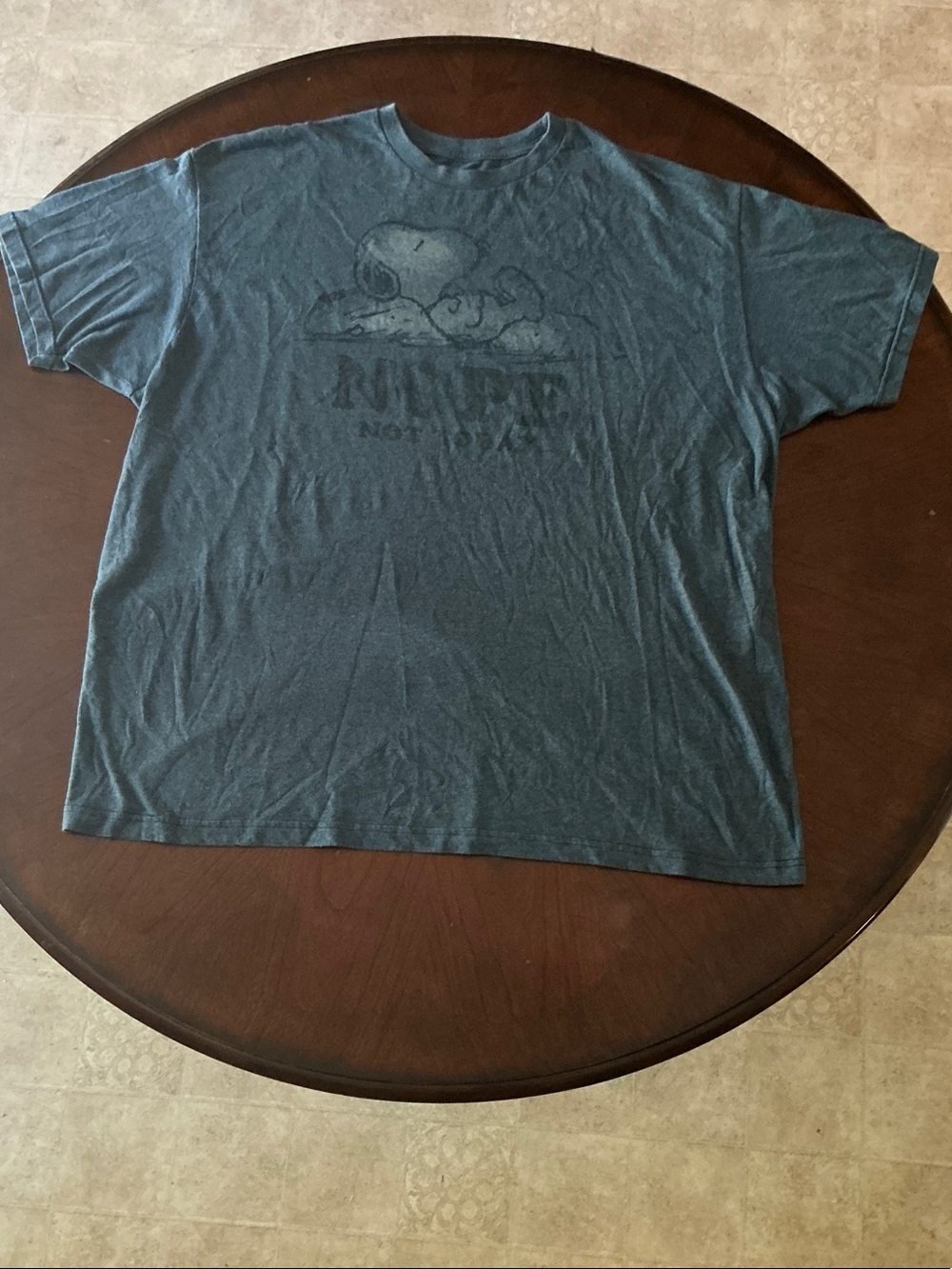 Peanuts - Snoopy “Not Today” Blue Graphic T-Shirt